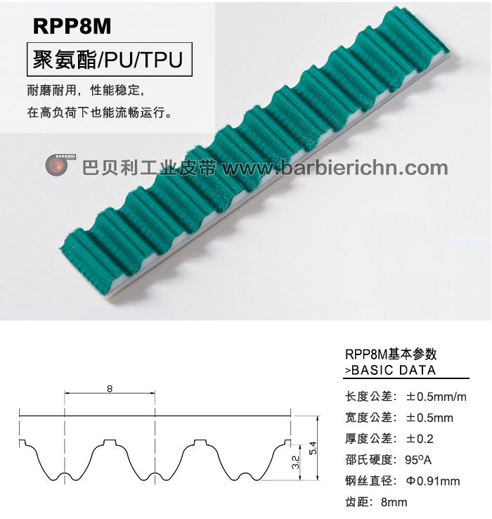 RPP8齒型